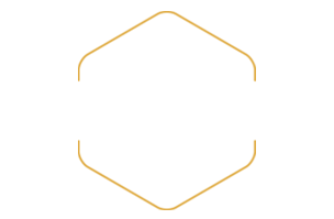 Motorcycles $25,000+ Shop Now